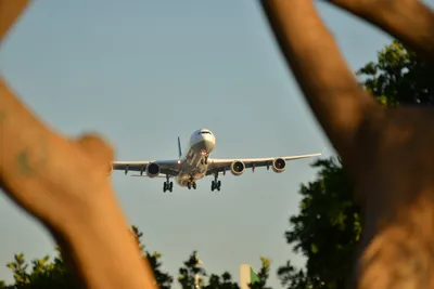 DSC_5746 (Large).JPG